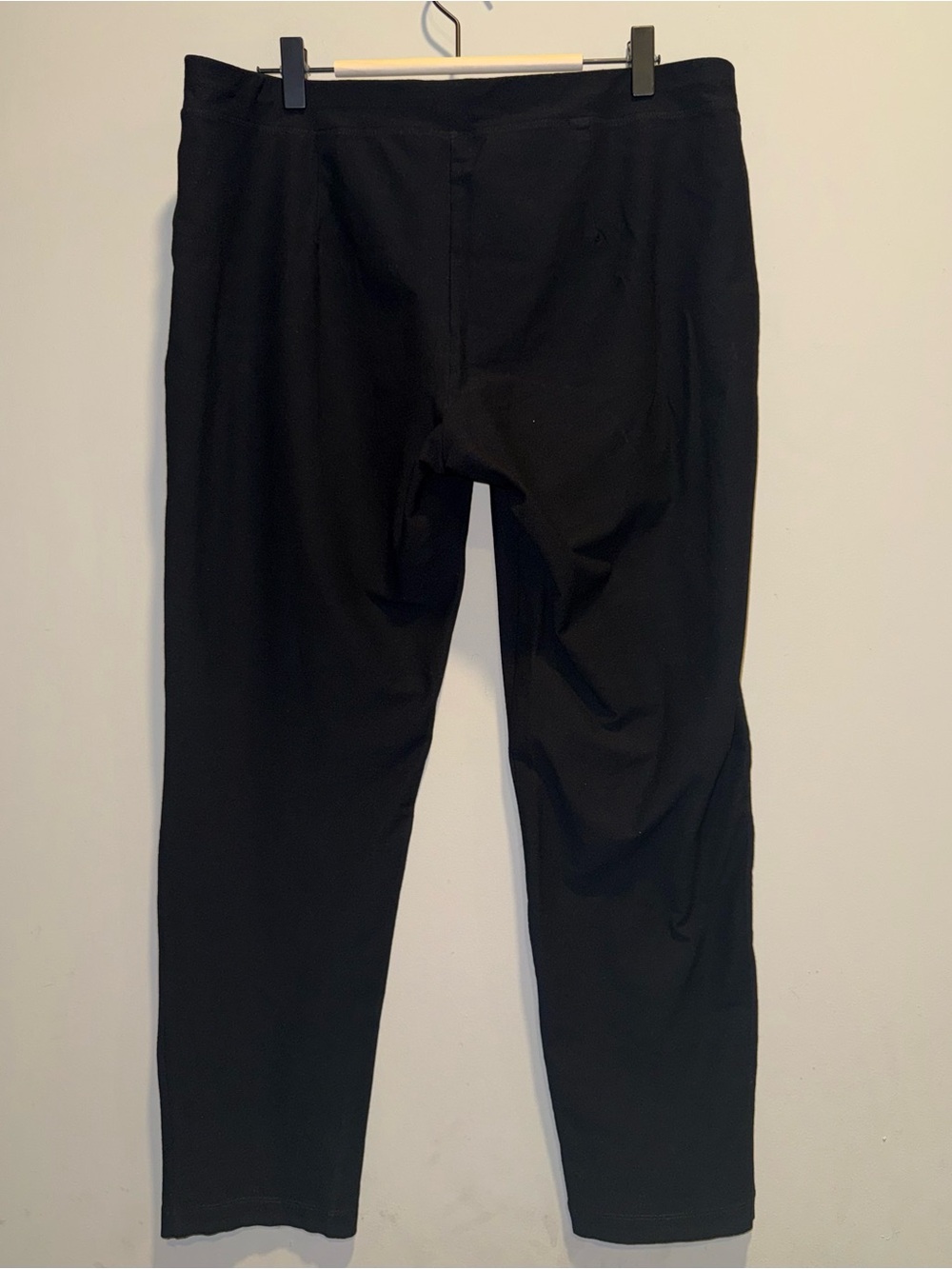 Eileen Fisher Washable Stretch Crepe Slim Ankle Pants Black Size L